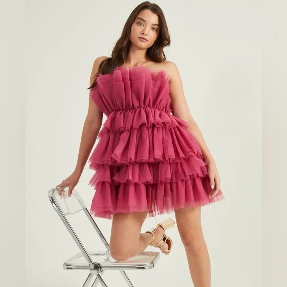 NWT Altar'd State Daria Tulle Berry Mini Dress. Size medium.